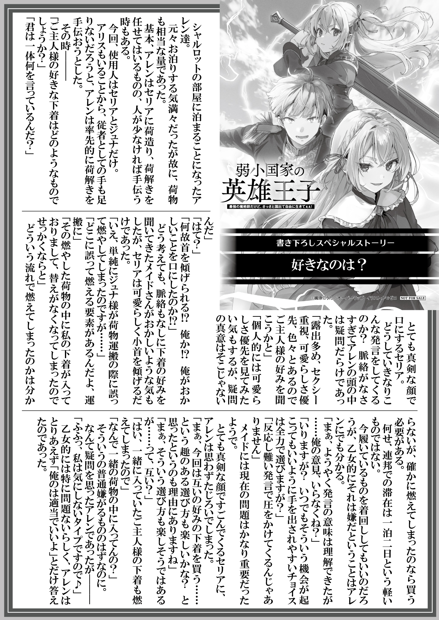 【文庫】『弱小国家の英雄王子-3　～最強の魔術師だけど、さっさと国出て自由に生きてぇぇ！～』B5SSペーパー